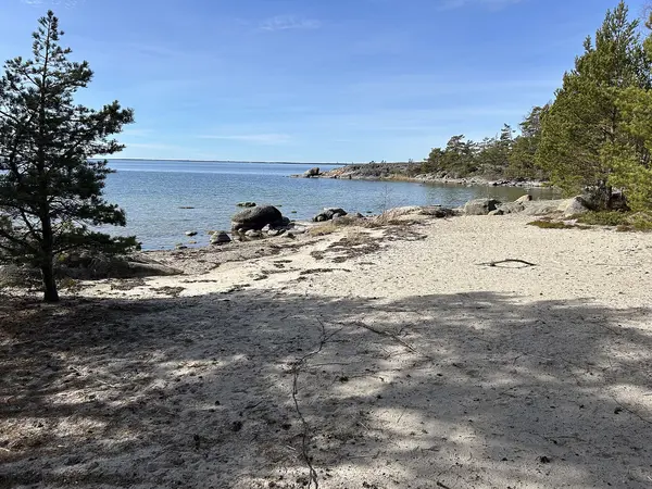 Harviken